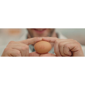 La coopérative portugaise Grupo CAC s’appuie sur les solutions de codage Domino pour garantir conformité et traçabilité.