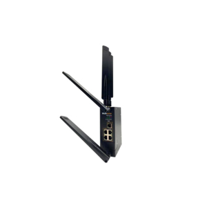 Nouveau routeur WR315GR-2C-LTEx2 : un routeur qui  dynamise la connectivité