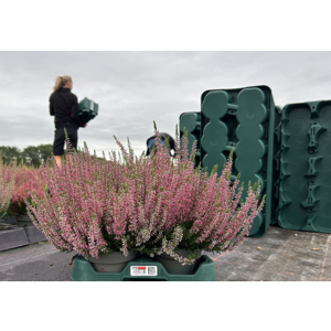 Euro Plant Tray adopte les étiquettes RFID IML d’inotec pour optimiser sa traçabilité et sa logistique