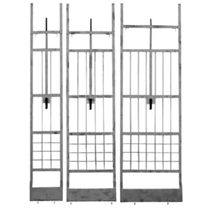 Safety Door: la sécurité des ouvertures d'ascenseurs
