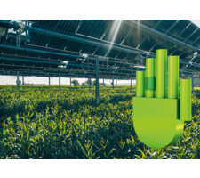 TSE ENERGY remporte le Manus vert du concours organisé par IGUS pour une installation agrivoltaïque