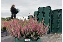 Euro Plant Tray adopte les étiquettes RFID IML d’inotec pour optimiser sa traçabilité et sa logistique