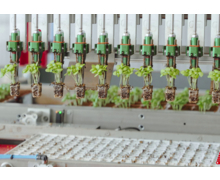 Des machines modernes pour l’agriculture automatisée avec l'aide des systèmes d'entrainement de FAULHABER