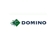 Domino Logo